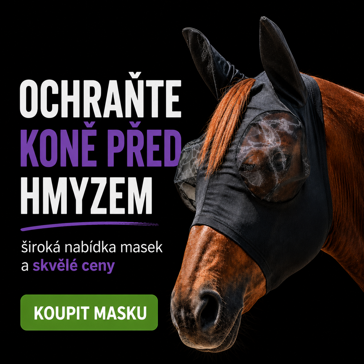 Performance kreativa Portine #6