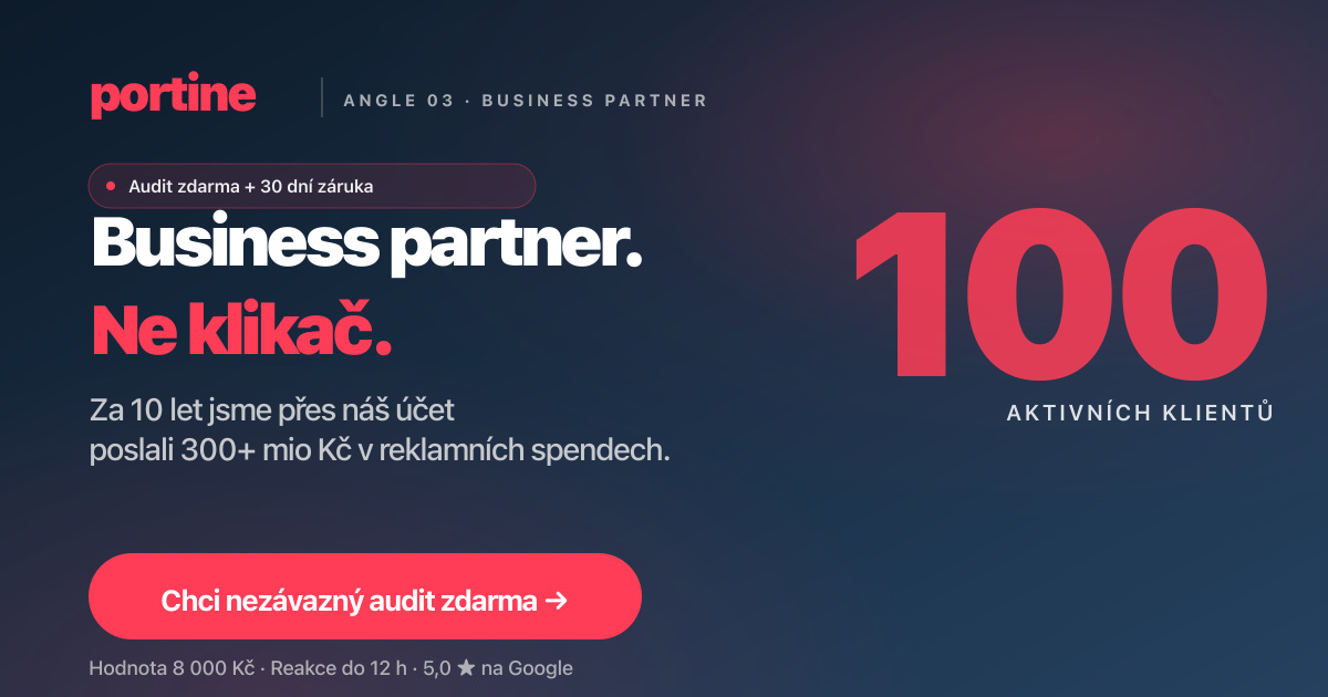 Náhled stránky Audit účtu zdarma